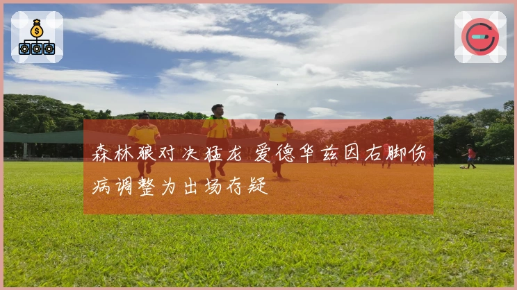 森林狼对决猛龙 爱德华兹因右脚伤病调整为出场存疑