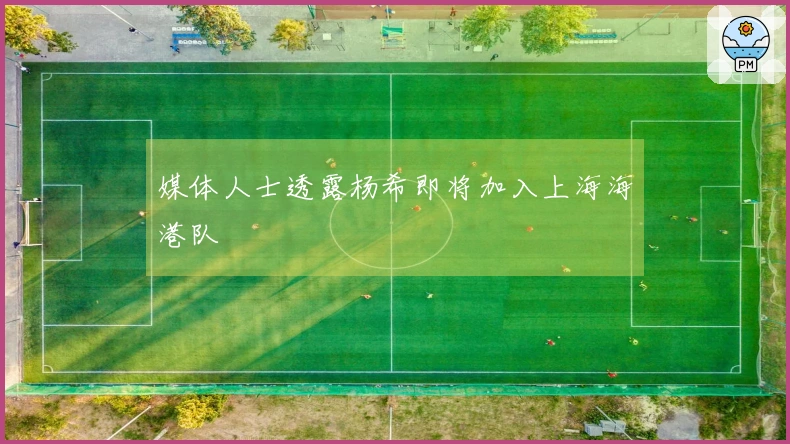 媒体人士透露杨希即将加入上海海港队