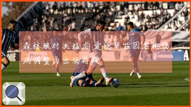 森林狼对决猛龙 爱德华兹因右脚伤病调整为出场存疑