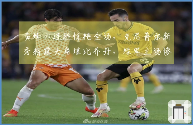 黄蜂六连胜惊艳全场，克尼普尔新秀崭露头角堪比乔丹，绿军主场惨遭29分败绩